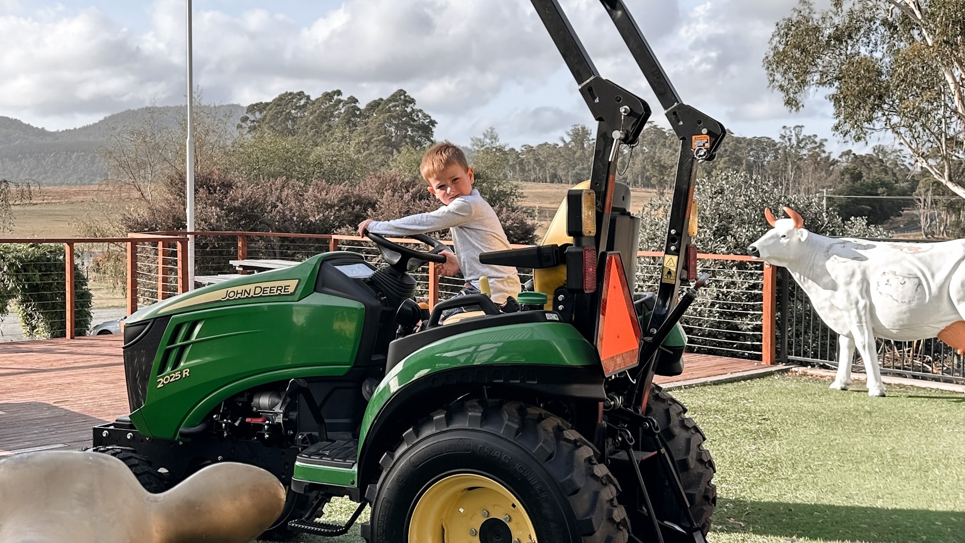 Young boy pretending to drive a green tractor, watched on by life sized cow sculptures.