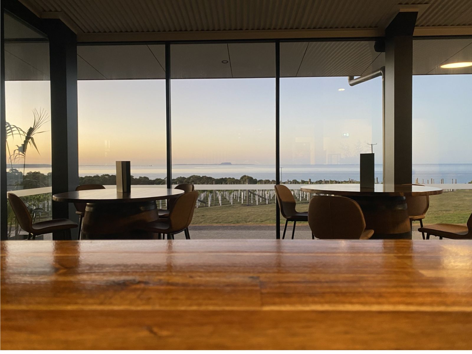 Lanigan’s Vineyard at Rocky Cape overlooking Bass Strait in North West Tasmania